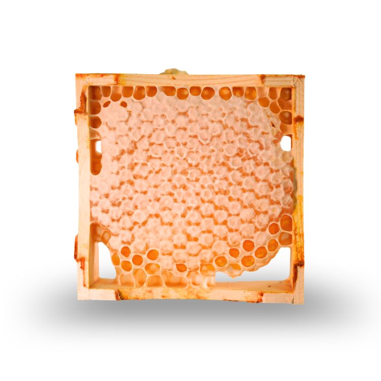 Wabenhonig · Summer Cut