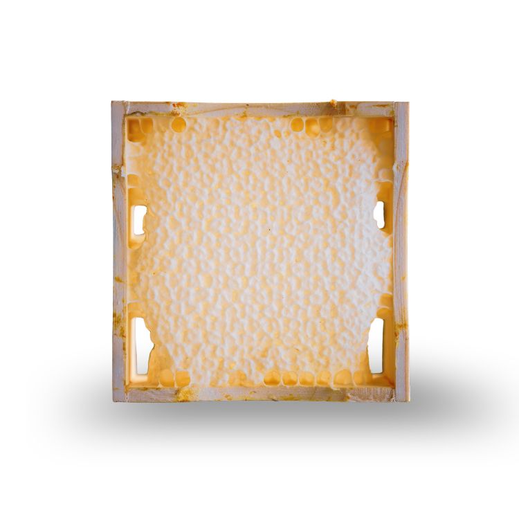 Wabenhonig · Spring Cut