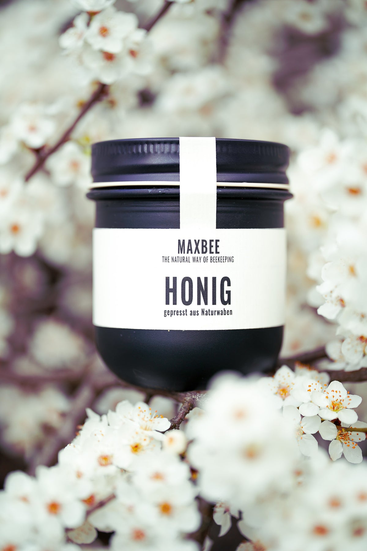 Presshonig  ·  NATIVE No. 04